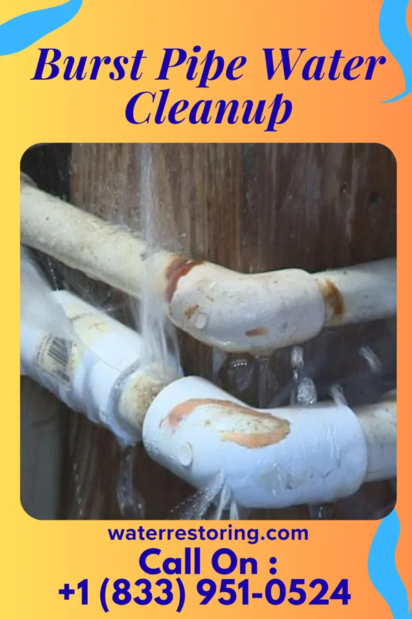 Burst Pipe Water Cleanup in Waipio Acres, HI