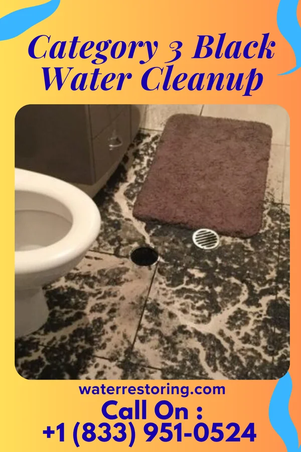 Category 3 Black Water Cleanup in Waipio Acres, HI