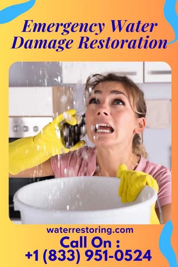 Emergency Water Damage Restoration in Waipio Acres, HI