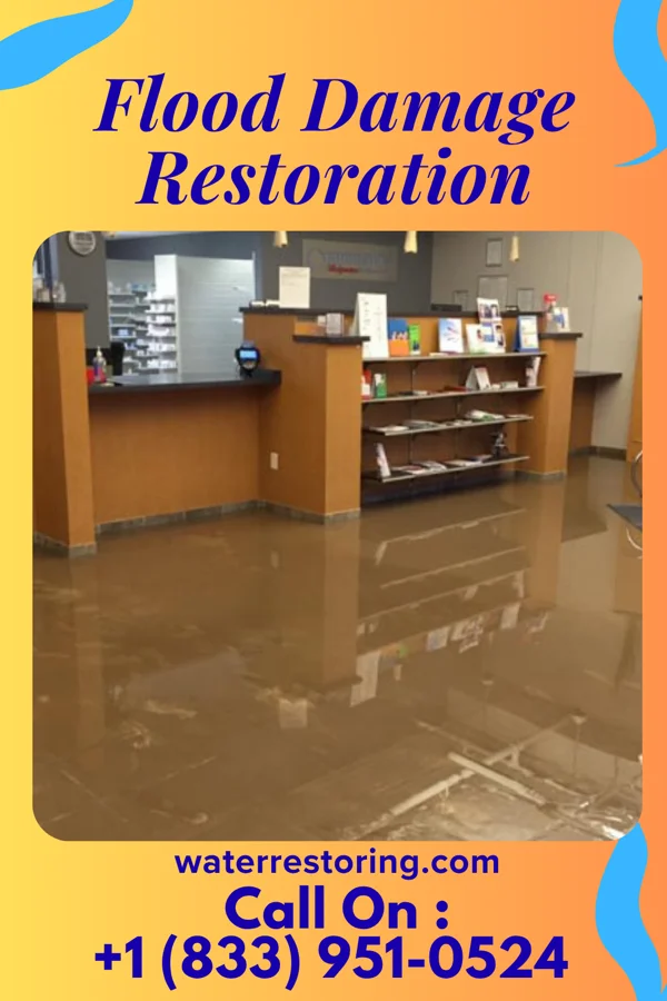 Flood Damage Restoration in Waipio Acres, HI