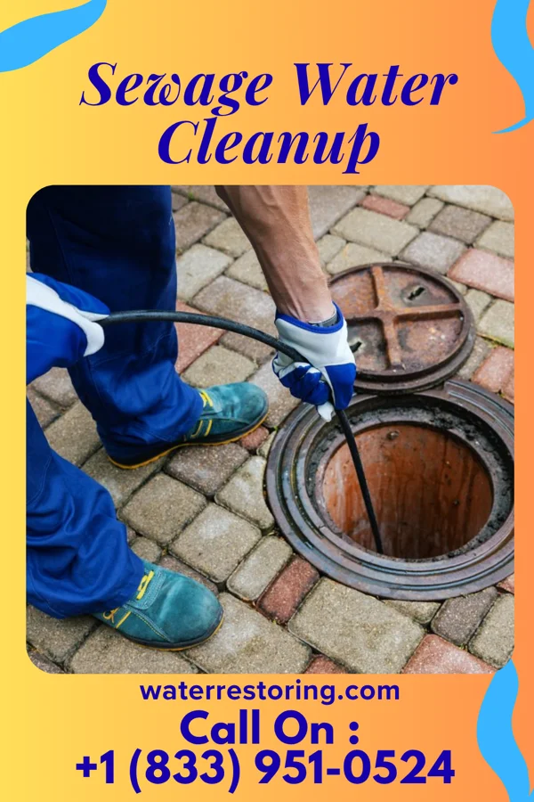 Sewage Water Cleanup in Waipio Acres, HI