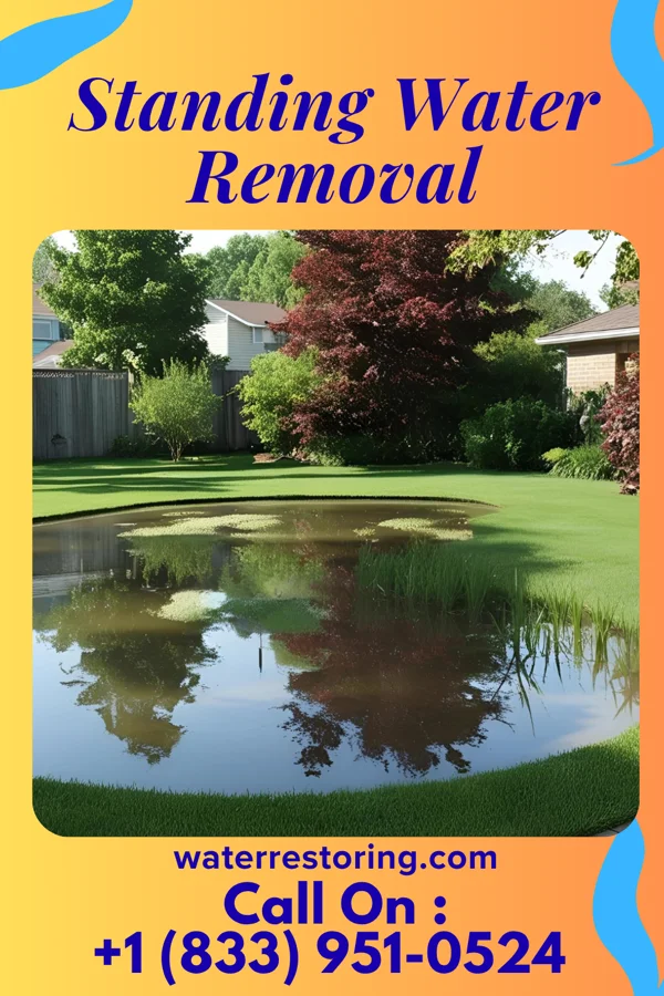 Standing Water Removal in Waipio Acres, HI